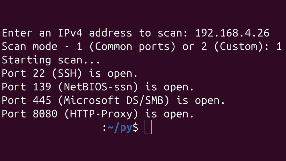 Output of my port scanner in a terminal