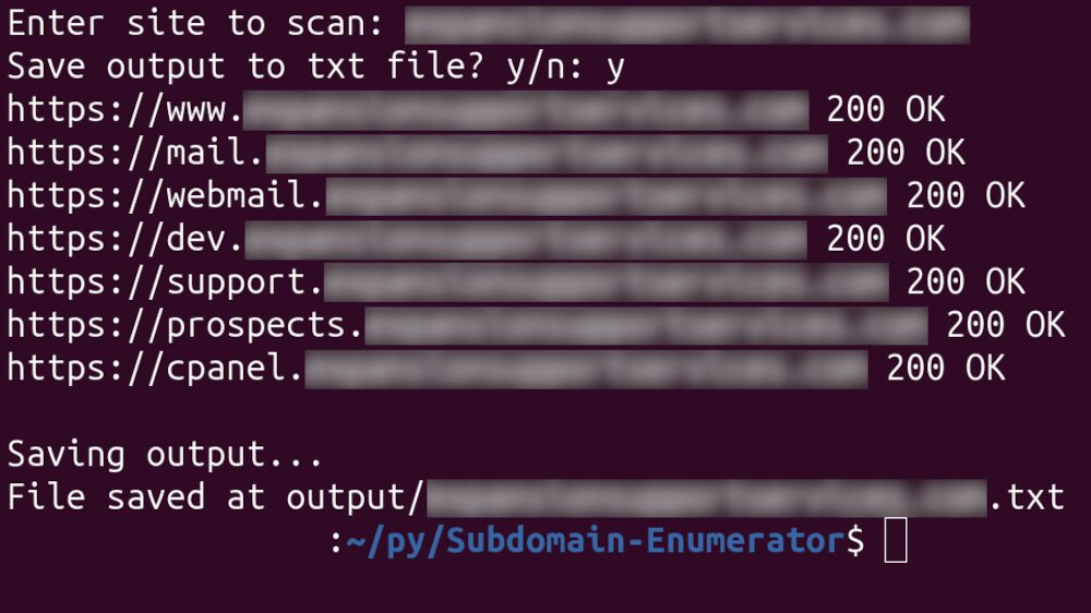 Output of my subdomain enumerator in a terminal